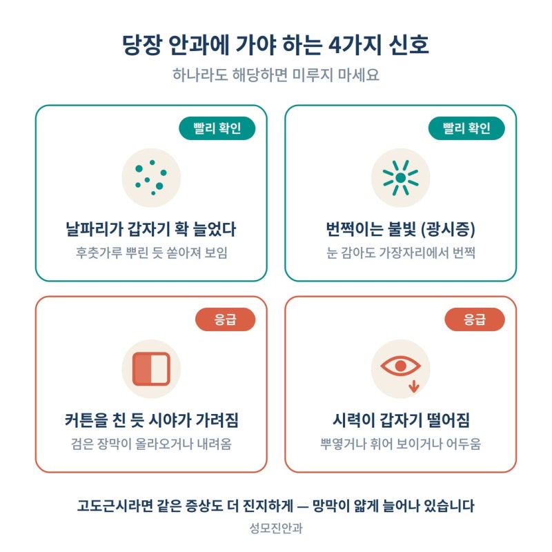 눈앞에 날파리가 떠다닌다면? 그냥 둬도 되는 비문증 vs 당장 안과 갈 신호 사진 5