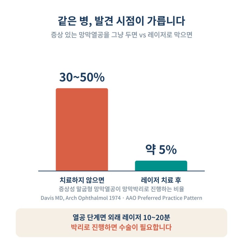 눈앞에 날파리가 떠다닌다면? 그냥 둬도 되는 비문증 vs 당장 안과 갈 신호 사진 6