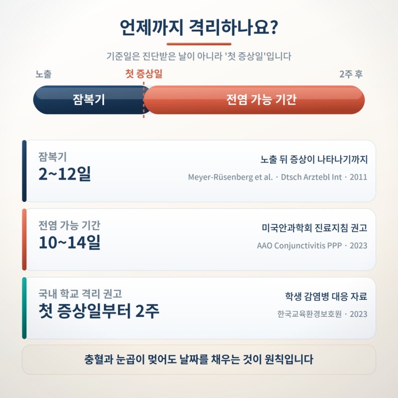 눈곱 끼고 충혈됐다면? 유행성 각결막염 격리 기간과 학교 보내도 되는 시점 사진 5