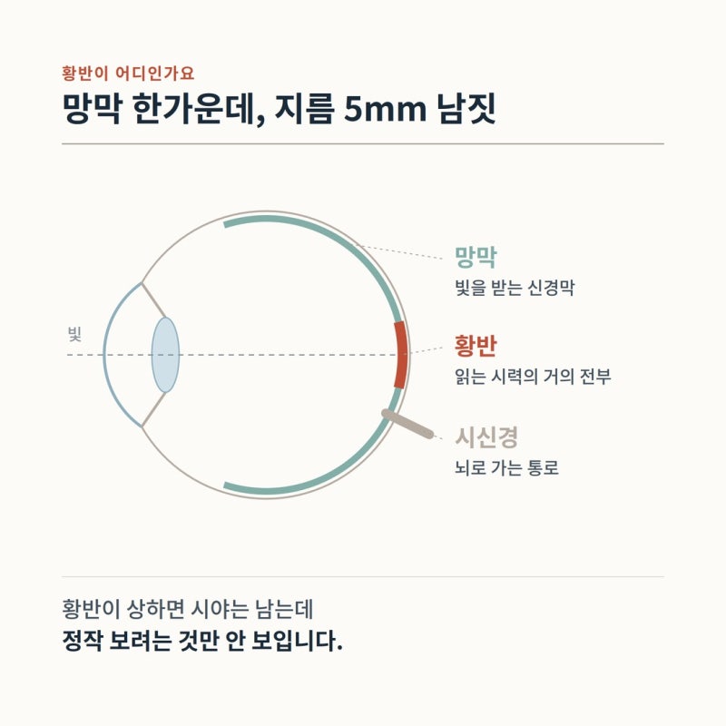 หากมองเห็นวงกบประตูหรือแนวยาแนวกระเบื้องบิดเบี้ยว — เช็กง่ายๆ ที่บ้านใน 30 วินาที โดยปิดตาทีละข้าง 사진 2