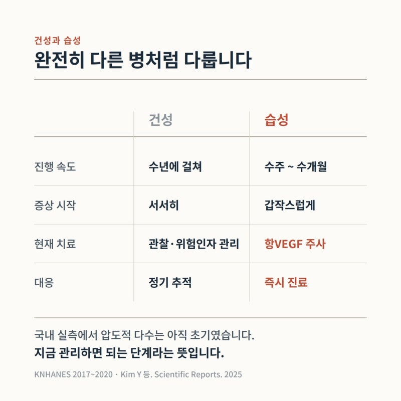문틀이나 타일 줄눈이 휘어 보인다면 — 집에서 30초, 한쪽 눈씩 가리고 확인하세요 사진 6